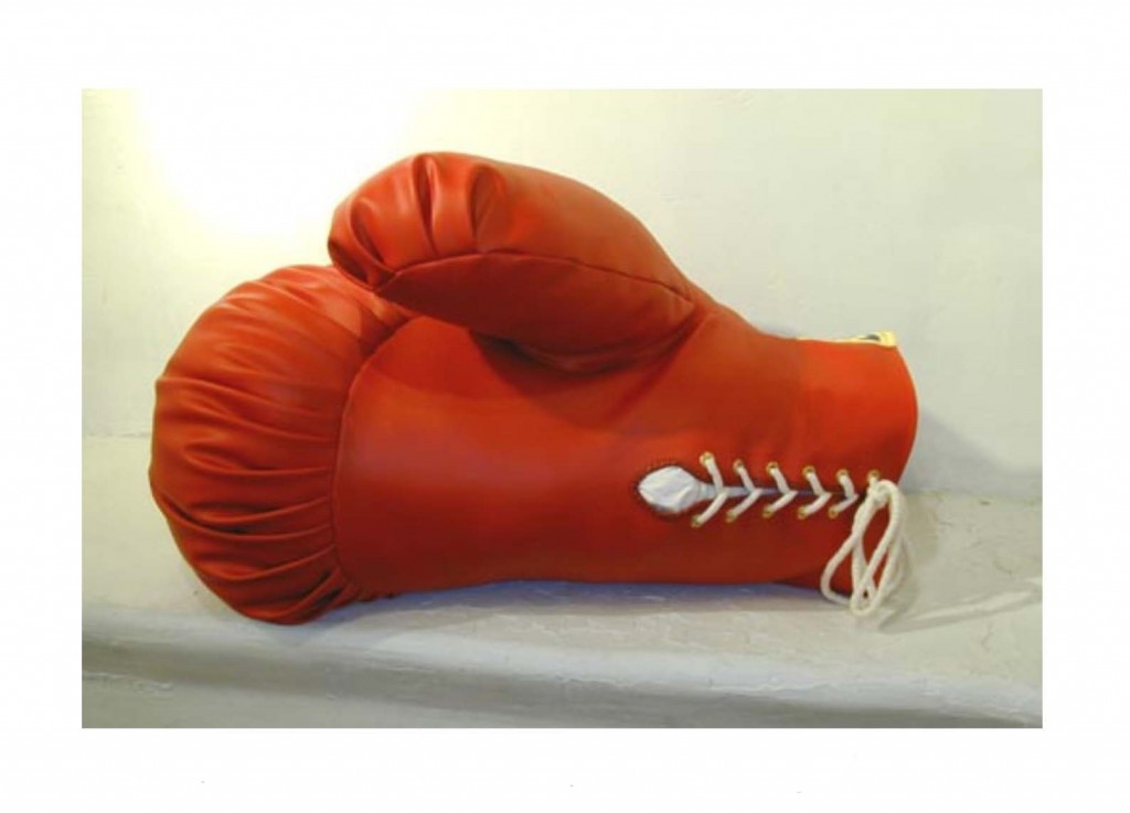 Boxing Glove